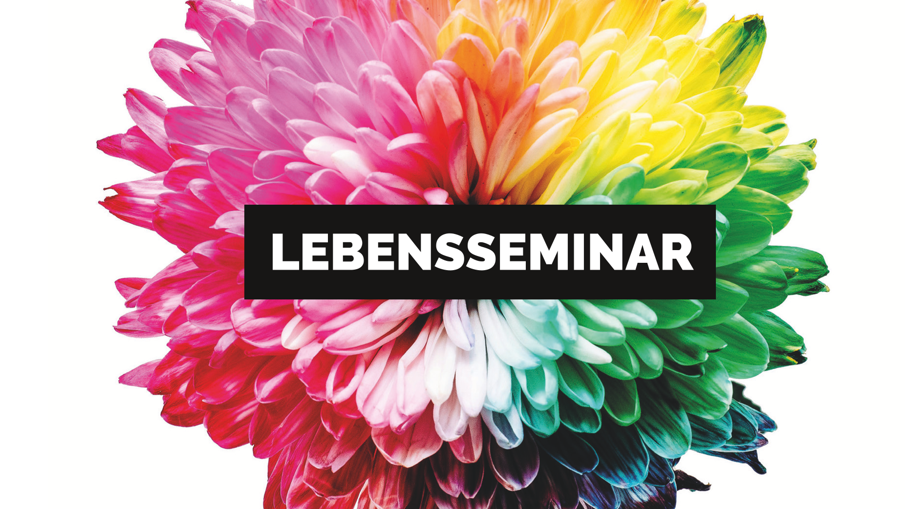 Lebensseminar